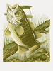 SMALL MOUTH - Ltd. Edition Screen Print