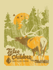 TYLER CHILDERS - Pickathon 2019 Poster