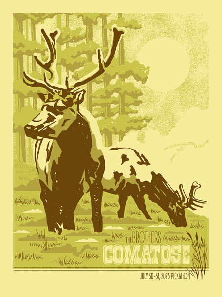 THE BROTHERS COMATOSE - Pickathon 2026 Poster