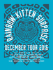 RAINBOW KITTEN SURPRISE - Winter Tour 2016 Poster