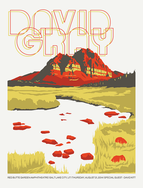 DAVID GRAY - 2014 Poster