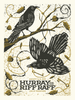HURRAY FOR THE RIFF RAFF - Pickathon 2022 Poster